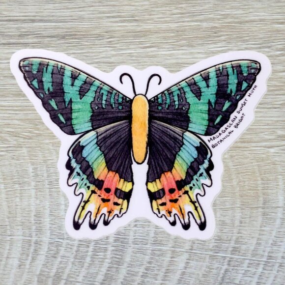 3 for $15 - Madagascan Sunset Moth‎ Sticker - Waterproof Vinyl Nature Decal - Picture 4 of 5
